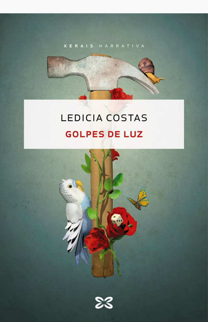 Golpes de luz - COSTAS, LEDICIA