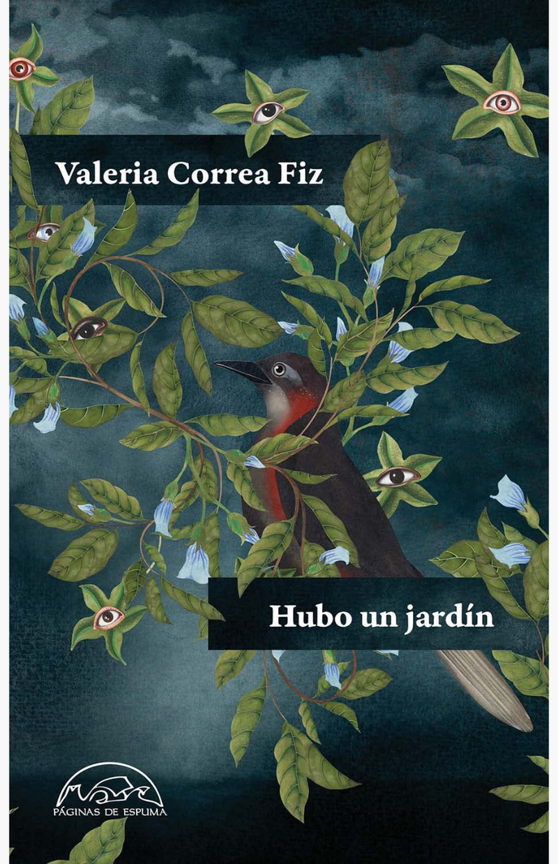 Hugo un jardín - CORREA FIZ, VALERIA